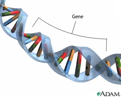 decouverte_dun_gene-cle_dans_la_motricit