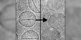 Cancer : des nanocapsules déclenchées par laser… Cancer : des nanocapsules déclenchées par laser…