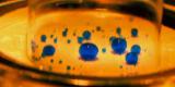 Le MIT invente une membrane pour séparer l'huile de l'eau Le MIT invente une membrane pour séparer l'huile de l'eau