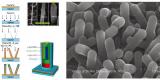 Un nanomatériau pour stocker l'énergie solaire Un nanomatériau pour stocker l'énergie solaire