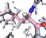 ADN : pourquoi est-il composé de vingt acides aminés ?