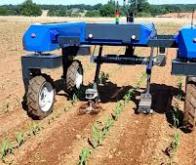 Agriculture : Cyclair, le premier robot désherbeur intelligent