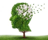 Maladie d'Alzheimer : deux essais cliniques innovants vont être menés aux Etats-Unis