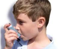 Asthme : un vaccin efficace par injection intramusculaire