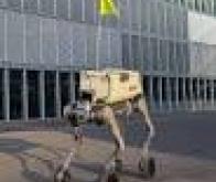 Bientôt des robots-chiens pour venir vous livrer chez vous