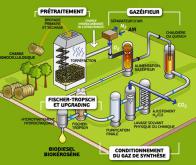 Biocarburants de deuxième génération : la voie lignocellulosique  