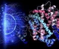 Bioptimus veut révolutionner la biologie