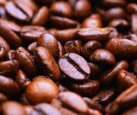 Café et cancer: le rôle protecteur se précise