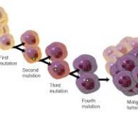 Cancer : découverte d’une nouvelle clé de mutation