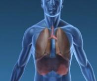 Cancer du poumon NAPC : le pembrolizumab supérieur à la chimiothérapie en 1ère ligne