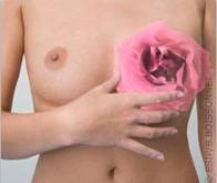 Cancer du sein : la mortalité continue à régresser en Europe
