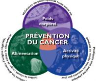 Cancer : le poids du mode de vie se confirme...