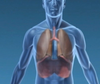 Cancers pulmonaires : lever la résistance aux thérapies ciblées