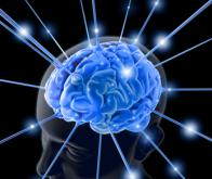 La stimulation électrique d'une zone cérébrale profonde est une piste prometteuse pour soigner les ...
