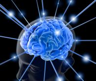 Les extraordinaires capacités cognitives du bébé