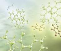 Certains arbres produisent une molécule qui renforce l’immunité
