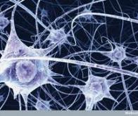 Comment concevoir de nouveaux médicaments pour le cerveau