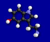 Comment la sérotonine freine l’addiction à la cocaïne