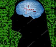 Comment le cerveau participe au cancer