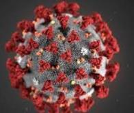 Comment le coronavirus attaque le cerveau, sans forcément l'infecter…