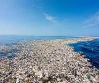Comment l'IA aide à détecter le plastique dans les océans