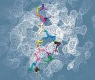 Covid-19 : un projet sans précédent pour passer au crible 1,5 milliard de molécules