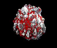 Découverte d'une nouvelle molécule anti-SIDA particulièrement efficace...