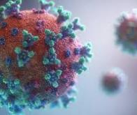 Découverte d'une protéine-clé qui permet au coronavirus SARS-CoV-2 de se cacher...