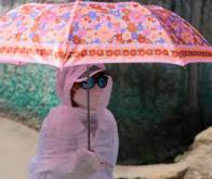 Dérèglement climatique : 26 jours de chaleur extrême supplémentaires en moyenne sur un an