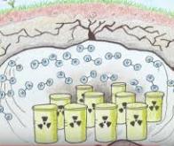Des bactéries pour sécuriser le stockage des déchets nucléaires