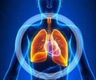 Des chercheurs français progressent dans le traitement de l’hypertension artérielle pulmonaire