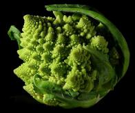 Des extraits de brocoli pour lutter contre le cancer