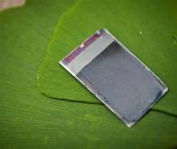 Des feuilles artificielles en silicium pour produire de l'électricité 