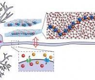 Des ions dans les neurones artificiels