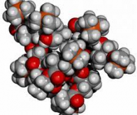 Des messages secrets stockés sur des molécules