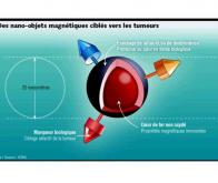 Des nano-médicaments contre les accidents vasculaires cérébraux