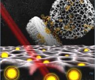 Des nano-vecteurs multitâches combinant imagerie et traitement pour les cancers