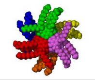 Des nanocapteurs à base d'ADN pour observer les facteurs de transcription