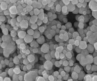 Des nanoparticules au service de la médecine régénératrice