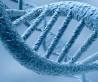Des «nanotransporteurs» d’ADN pour traiter le cancer