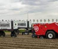 Des robots pourraient bientôt récolter des légumes de serre