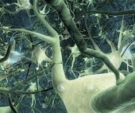 Des sous-réseaux de neurones pour améliorer l’IA