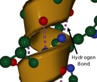 Détruire les cellules cancéreuses avec des peptides fabriqués sur mesure