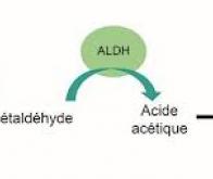 Du CO2 à l'acétaldéhyde : vers une chimie industrielle plus verte