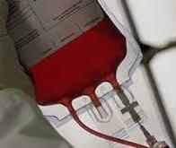 Du faux sang pour mieux combattre le paludisme