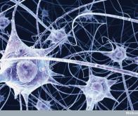 Du tissu conjonctif pour produire de nouveaux neurones