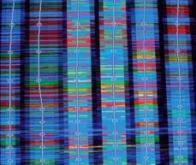 Avant 2020 : Une cartographie complète de notre ADN en moins d'une heure !