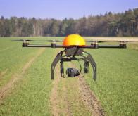 Agriculture : Faire disparaître les pesticides, c’est une priorité absolue…