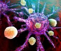 Ces virus qui provoquent le cancer...et qui le soignent...