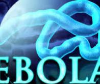 EBOLA : l’Humanité doit faire face aux nouveaux virus  
